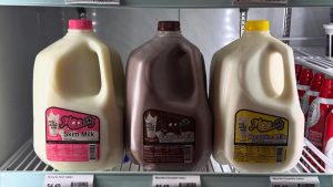 Fresh Milk in Albion