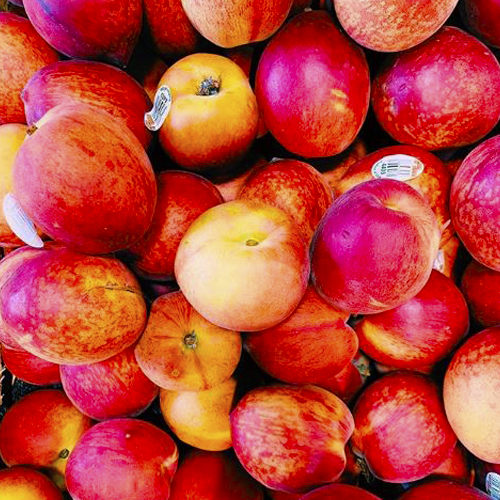 fruits-vege-3